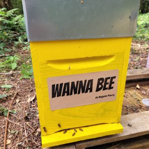 Personnalisez votre ruche